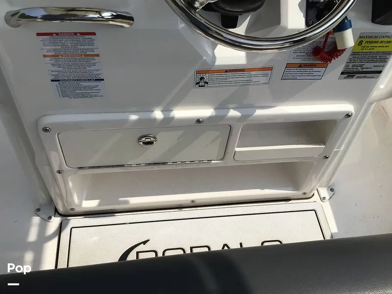 Slide: The Image of Robalo 202ex 2024 - 15558385