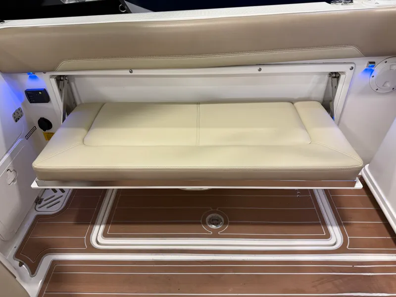 Slide: The Image of Sailfish 275 DC 2019 - 13