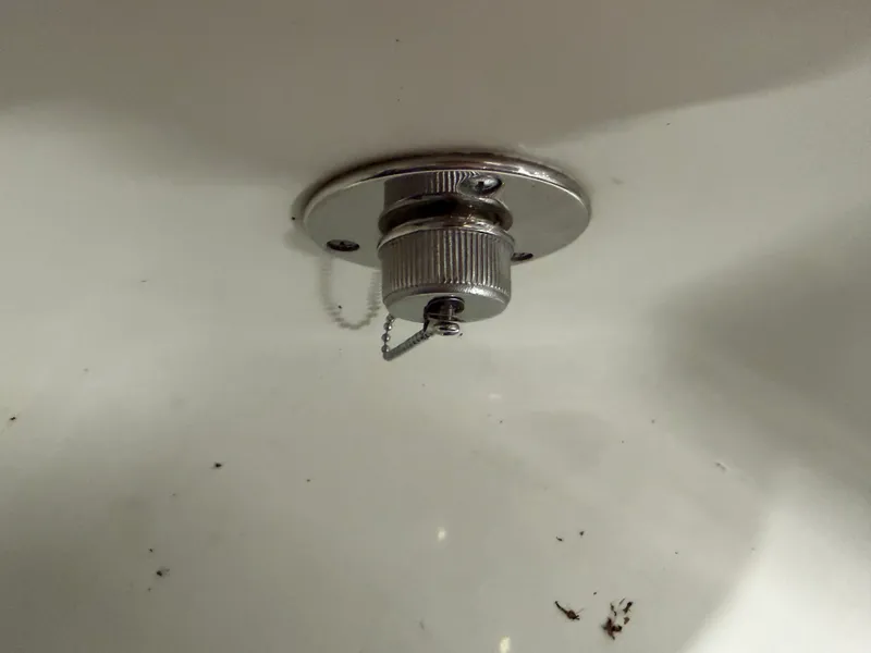 Slide: The Image of Sailfish 275 DC 2019 - 18