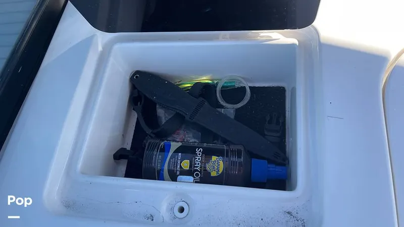 Slide: The Image of Sea Ray SDX 290 OB 2022 - 15043986