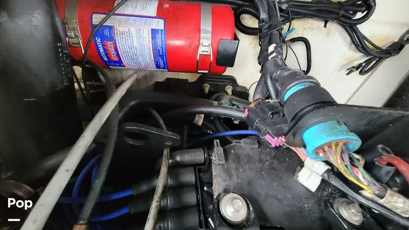 Slide: The Image of Sea Ray 260 Sundeck 2012 - 15094300