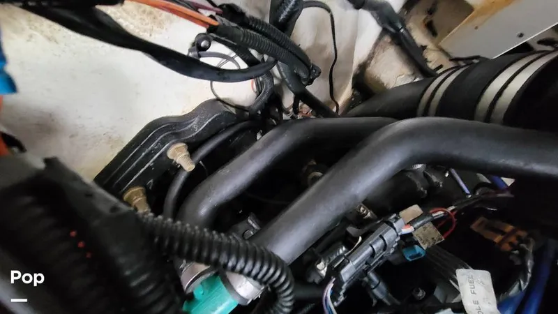 Slide: The Image of Sea Ray 260 Sundeck 2012 - 15094301