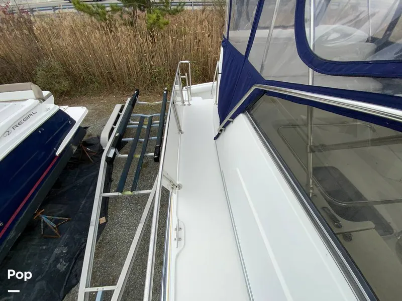 Slide: The Image of Carver Yachts 330 Mariner 1995 - 14979468