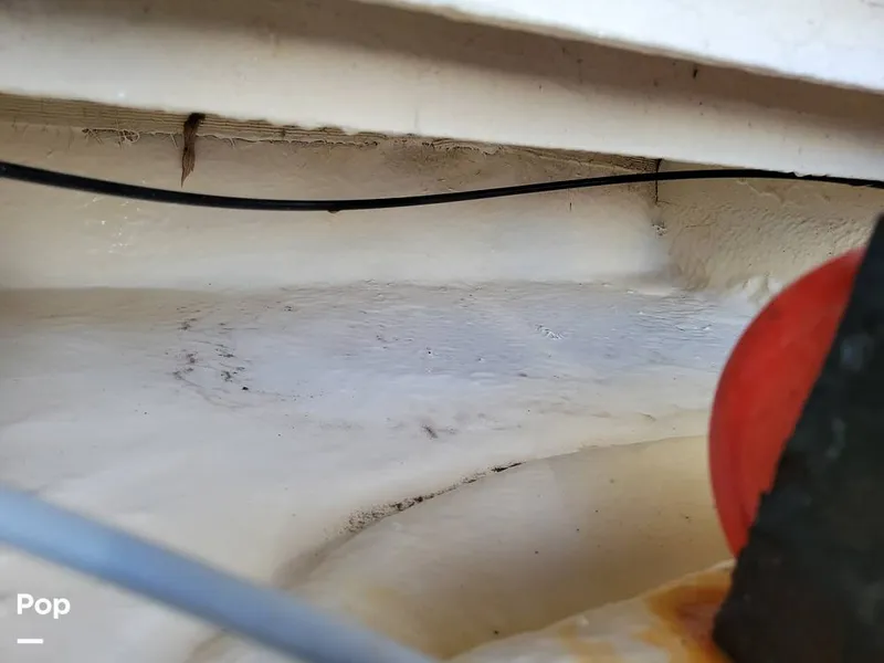 Slide: The Image of Sea Ray 240 Sundancer 2007 - 14917944