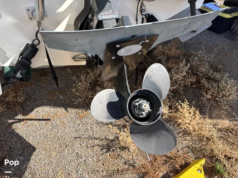 Slide: The Image of Trophy 2052 WA 2006 - 14963128