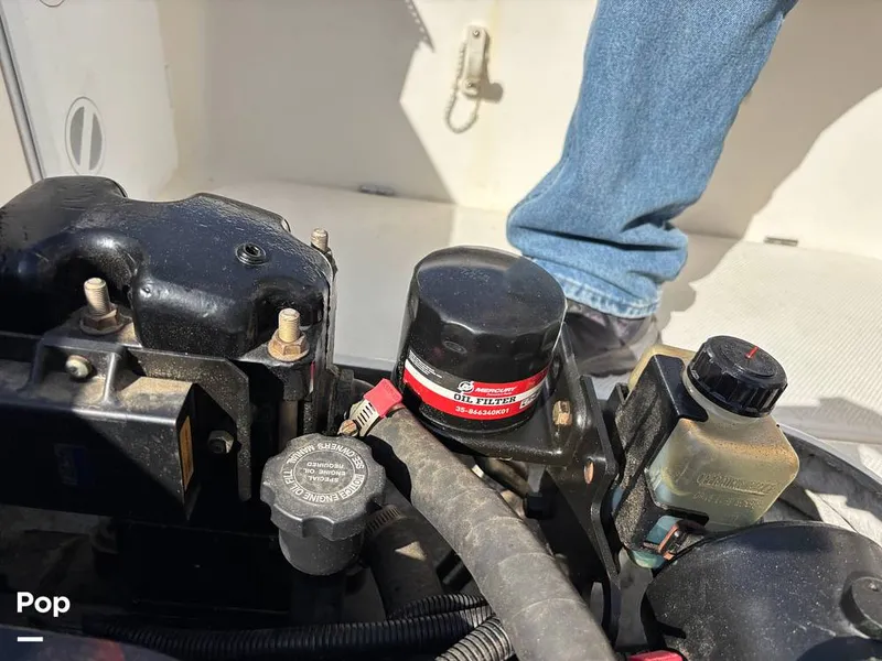 Slide: The Image of Trophy 2052 WA 2006 - 14963163