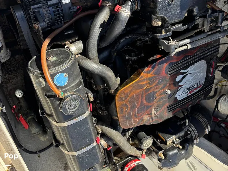 Slide: The Image of Trophy 2052 WA 2006 - 14963167