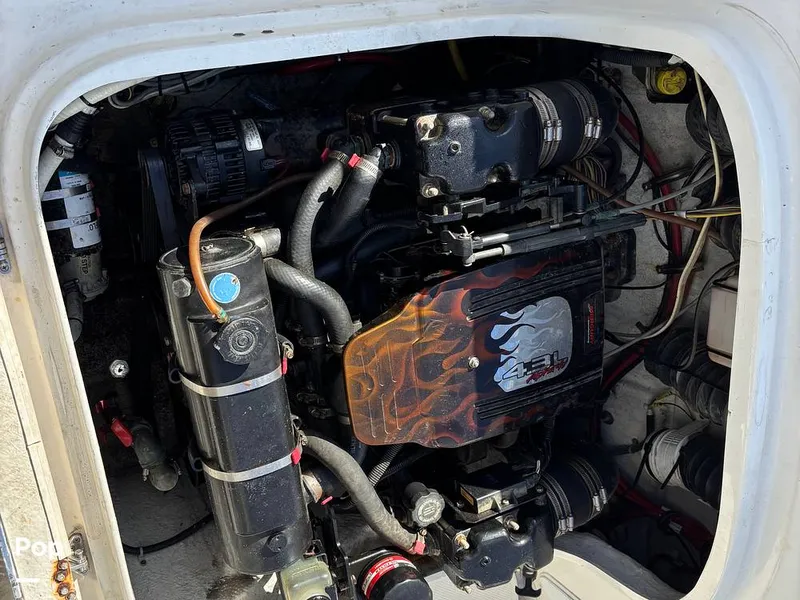 Slide: The Image of Trophy 2052 WA 2006 - 14963168