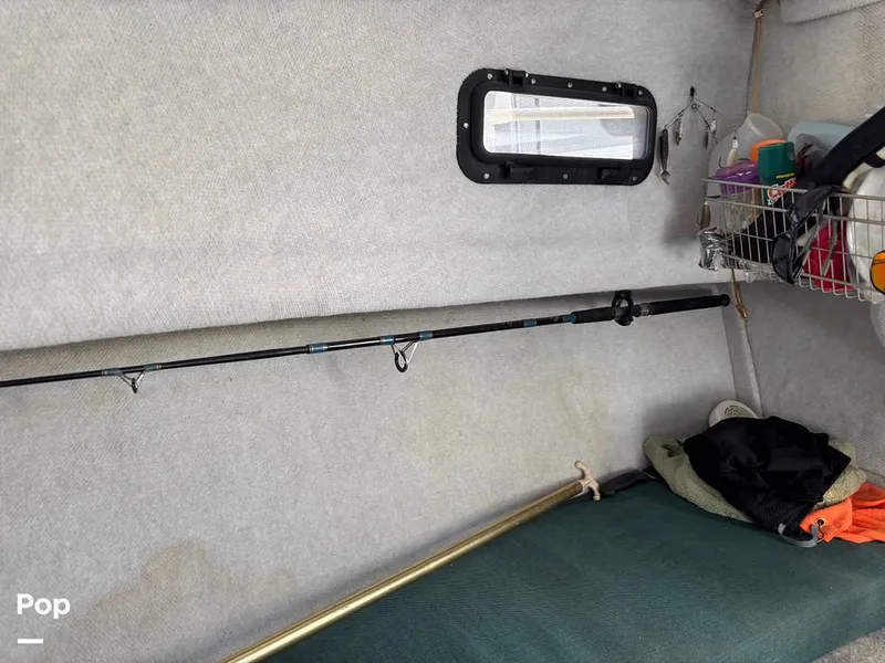 Slide: The Image of Trophy 2052 WA 2006 - 14963039