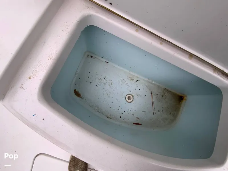 Slide: The Image of Sportsman 252 Open 2016 - 14929022