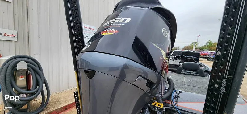 Slide: The Image of Skeeter ZX250 2019 - 14946899