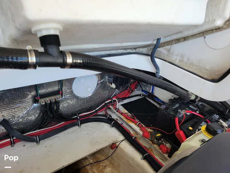 Slide: The Image of Regal 3200 2017 - 16261354