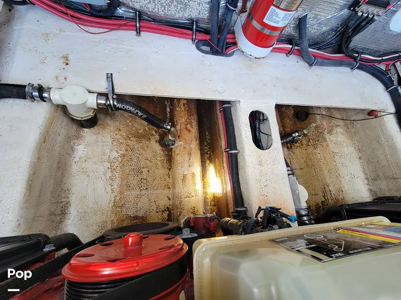 Slide: The Image of Regal 3200 2017 - 16261359