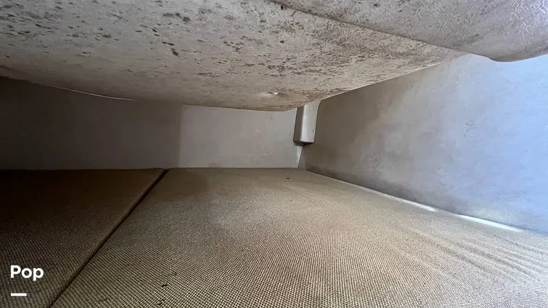 Slide: The Image of Sea Ray 240 Sundancer 2008 - 14951621