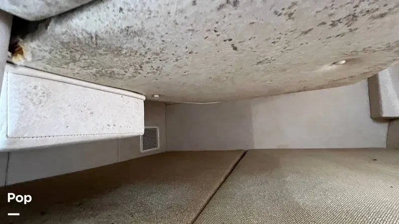 Slide: The Image of Sea Ray 240 Sundancer 2008 - 14951622