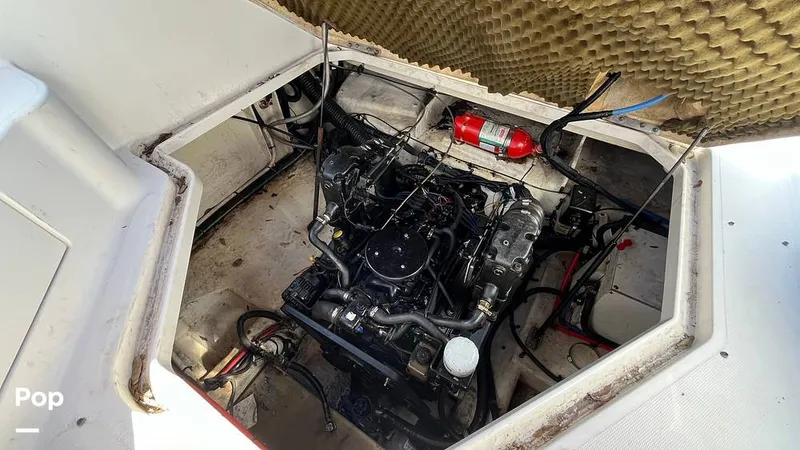 Slide: The Image of Sea Ray 240 Sundancer 2008 - 14951637