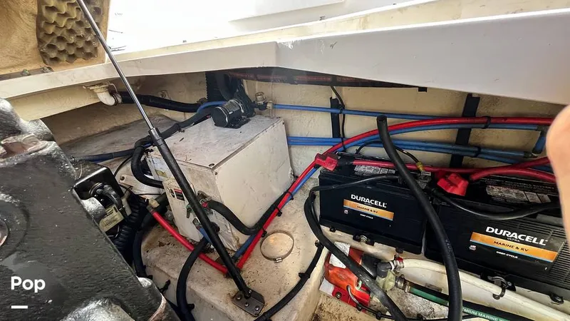 Slide: The Image of Sea Ray 240 Sundancer 2008 - 14951639