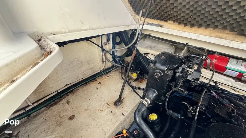 Slide: The Image of Sea Ray 240 Sundancer 2008 - 14951642