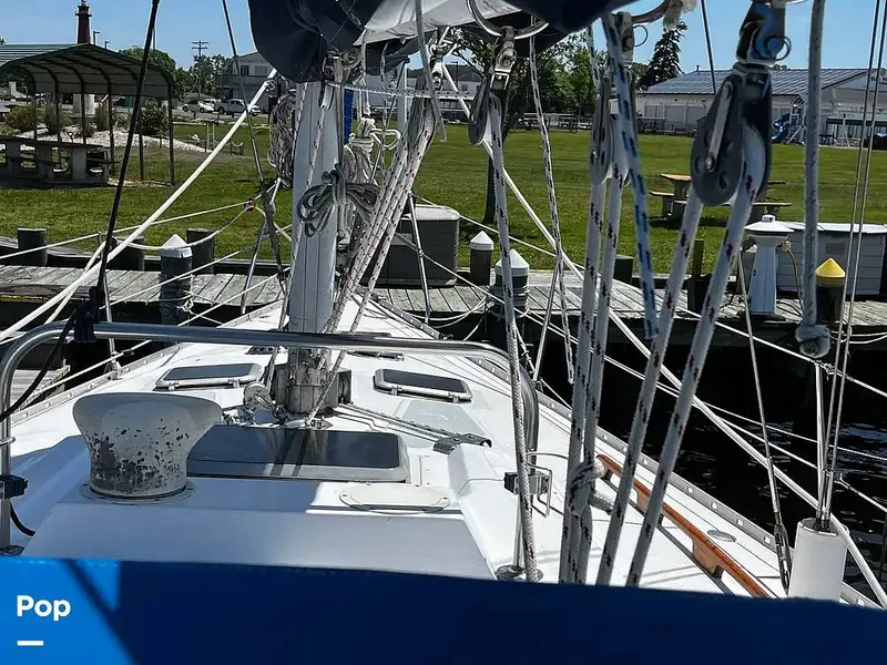 Slide: The Image of Hunter 34 1983 - 14967302