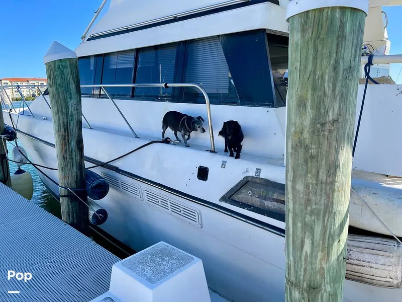 Slide: The Image of Silverton Aft Cabin 46 1989 - 15155858