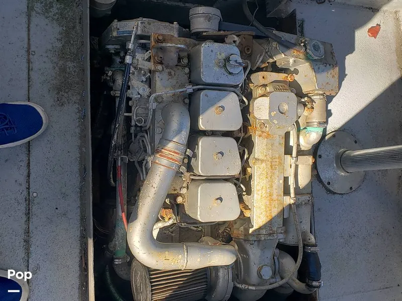 Slide: The Image of Sisu 22 1978 - 14970912