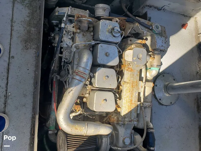 Slide: The Image of Sisu 22 1978 - 14970914