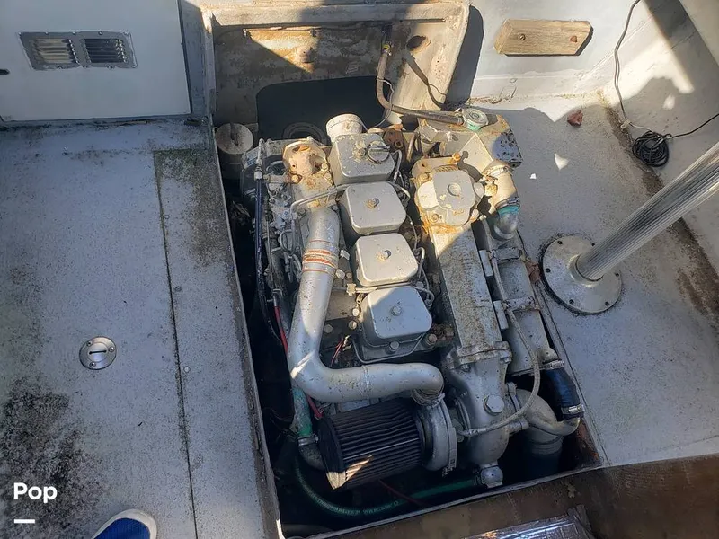 Slide: The Image of Sisu 22 1978 - 14970923