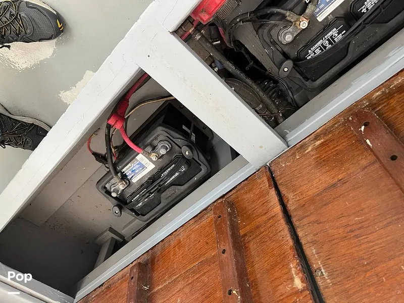 Slide: The Image of Marscot 22 Bass 1956 - 15041745