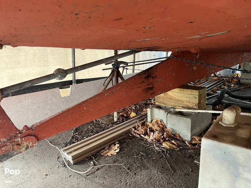 Slide: The Image of Marscot 22 Bass 1956 - 15041749