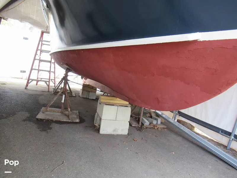 Slide: The Image of Marscot 22 Bass 1956 - 16325428