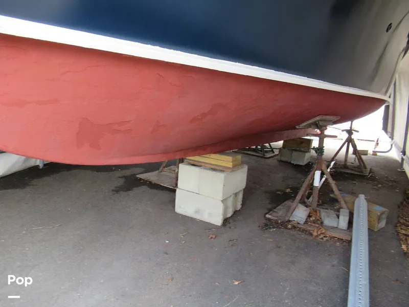 Slide: The Image of Marscot 22 Bass 1956 - 16325429