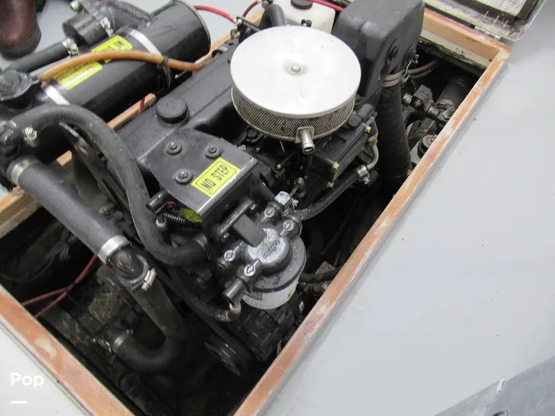 Slide: The Image of Marscot 22 Bass 1956 - 16325458