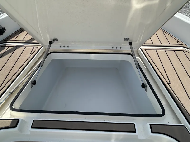 Slide: The Image of Skeeter 2250 2020 - 18