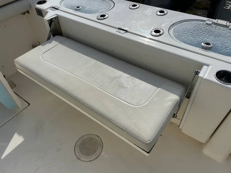 Slide: The Image of Cobia 301CC 2019 - 8