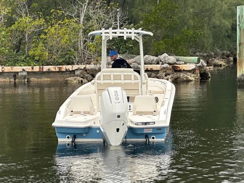 Slide: The Image of Boston Whaler 250 Dauntless 2026 - 10