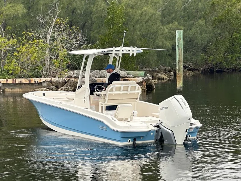 Slide: The Image of Boston Whaler 250 Dauntless 2026 - 11