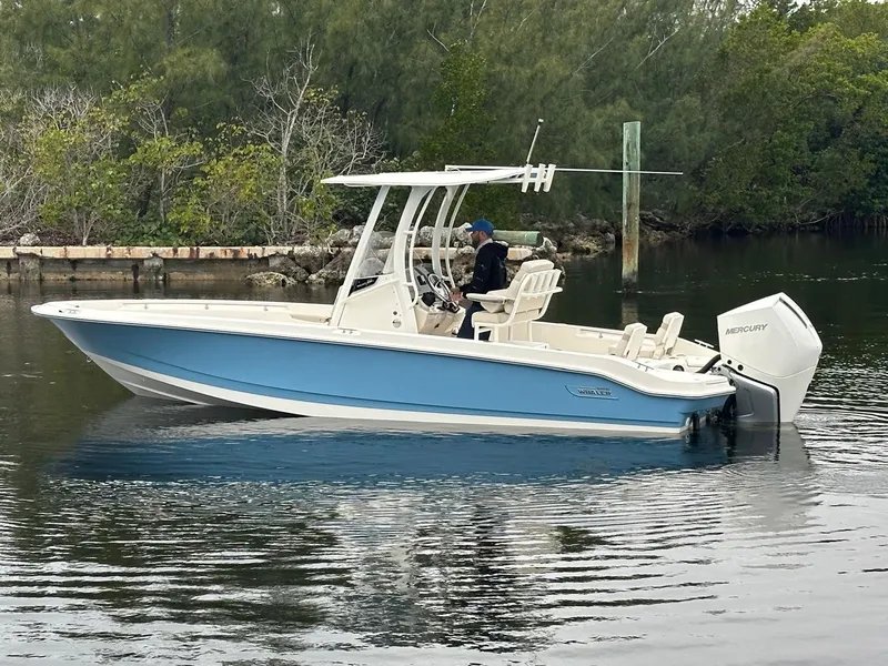 Slide: The Image of Boston Whaler 250 Dauntless 2026 - 12