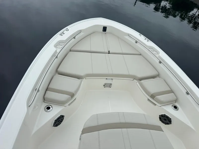 Slide: The Image of Boston Whaler 250 Dauntless 2026 - 13