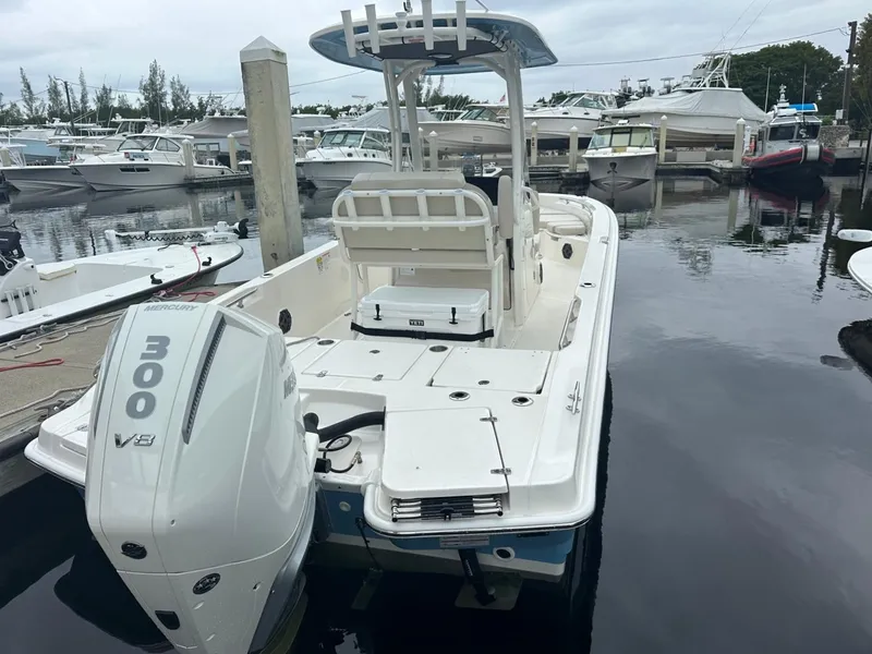 Slide: The Image of Boston Whaler 250 Dauntless 2026 - 19