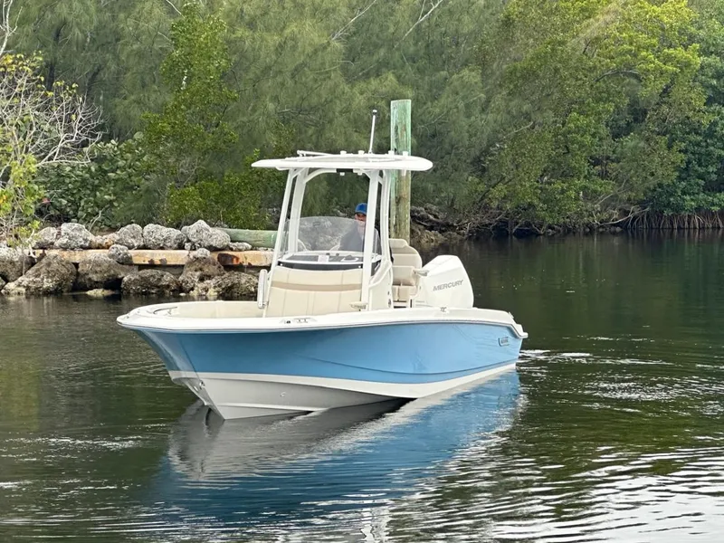 Slide: The Image of Boston Whaler 250 Dauntless 2026 - 2