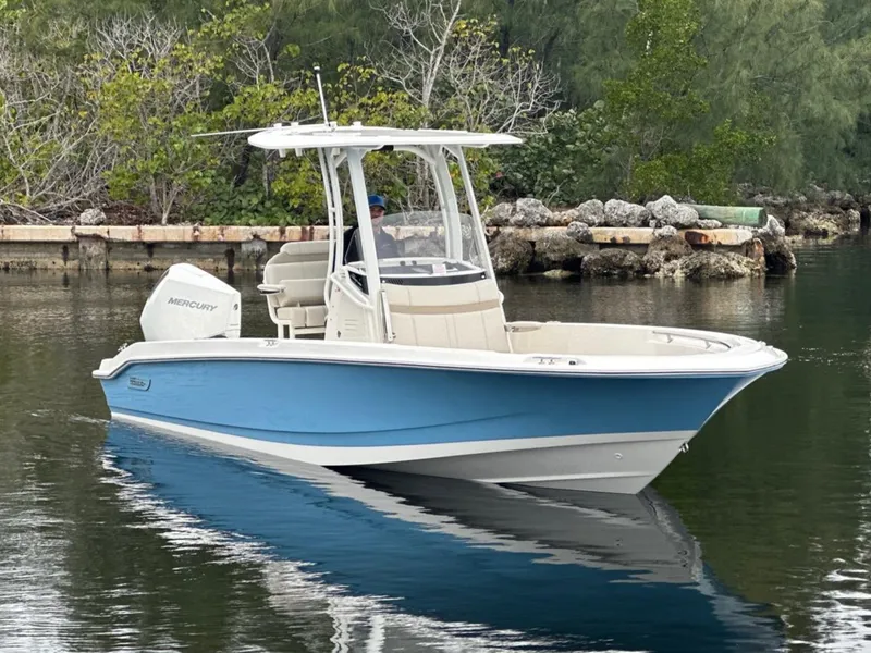 Slide: The Image of Boston Whaler 250 Dauntless 2026 - 5
