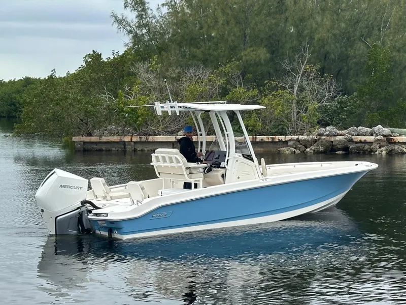 Slide: The Image of Boston Whaler 250 Dauntless 2026 - 8