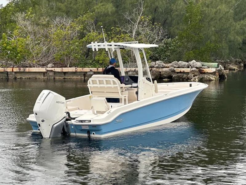 Slide: The Image of Boston Whaler 250 Dauntless 2026 - 9