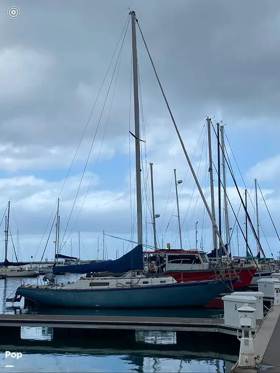 The Image of Morgan 42-2 1971 - 15020543