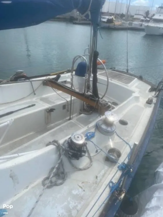 Slide: The Image of Morgan 42-2 1971 - 15020545