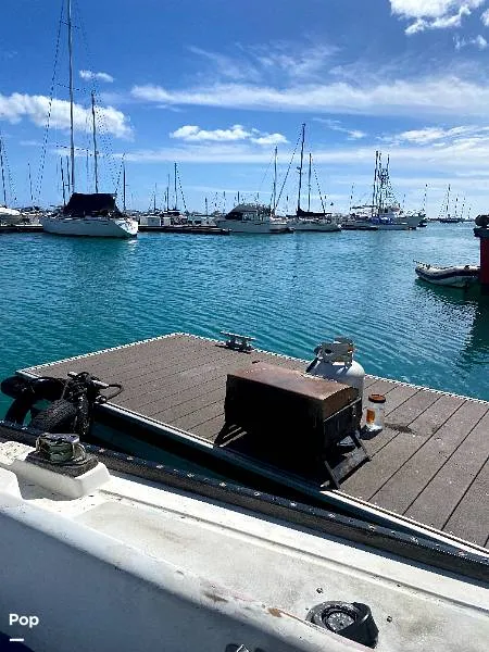 Slide: The Image of Morgan 42-2 1971 - 15020546