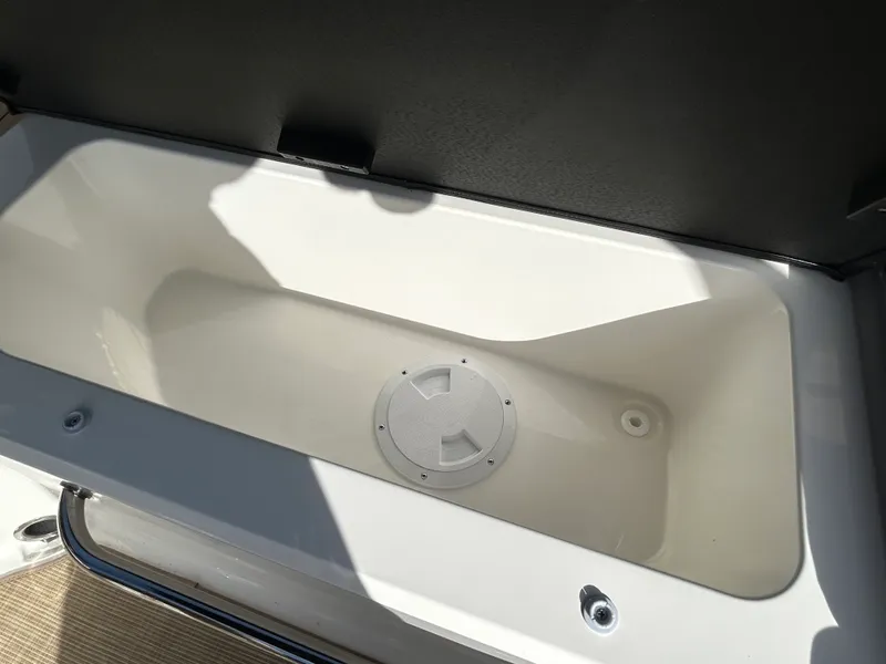 Slide: The Image of Sea Ray SPX 210 Outboard 2026 - 13