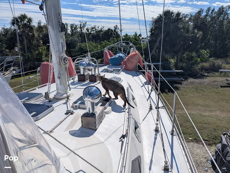 Slide: The Image of C&C 43 Landfall 1982 - 15099181