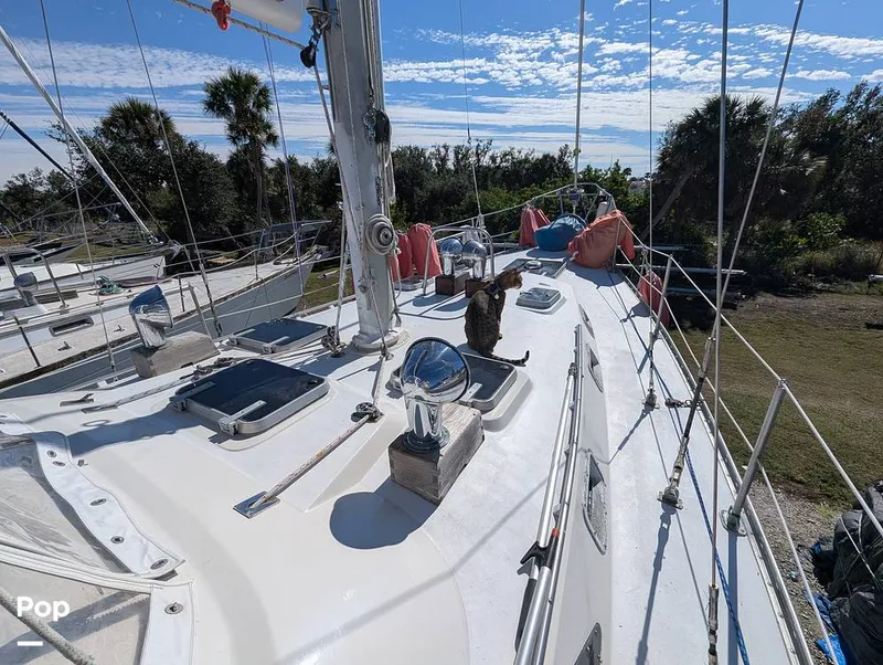 Slide: The Image of C&C 43 Landfall 1982 - 15099182