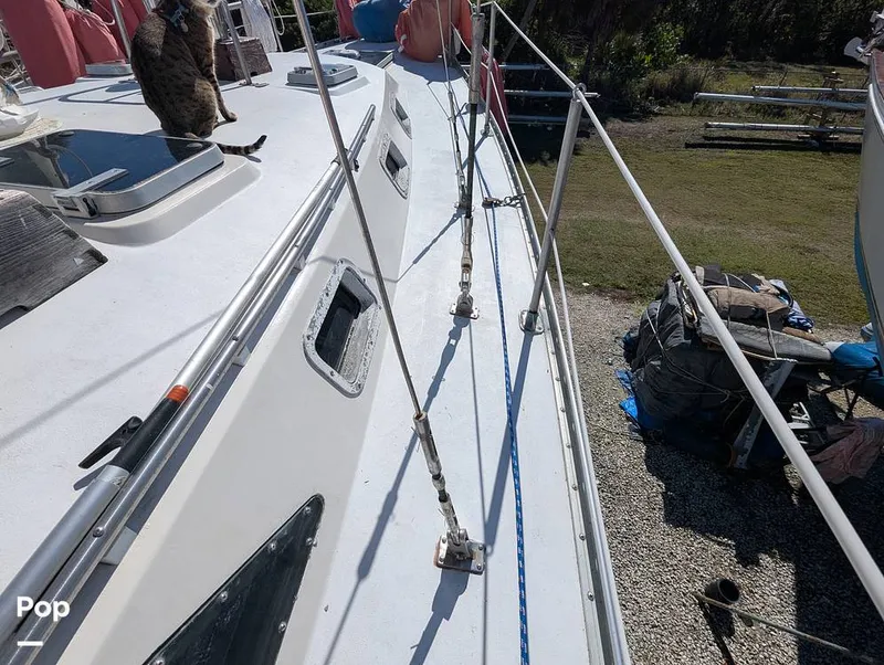 Slide: The Image of C&C 43 Landfall 1982 - 15099184